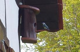 Domus Antiqua - Foto 41