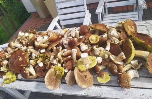 Przy Trójstyku - Foto 40