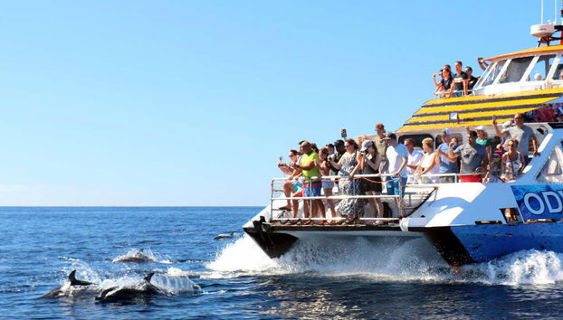 Glass Bottom Boat Cruise - Foto 4