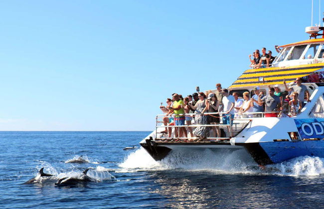 Glass Bottom Boat Cruise - Foto 4