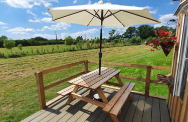 Dartmoor Reach Alpaca Farm - Foto 44