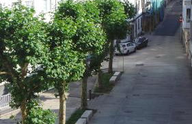 Apartamento Barrio San Pedro - Photo 35