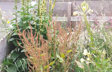 Ferienhaus Hoher Vogelsberg - Photo 5