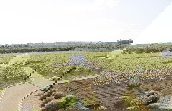 Tenuta Yala - Foto 39