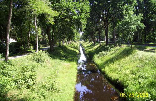 Fewo Worpswede - Foto 30