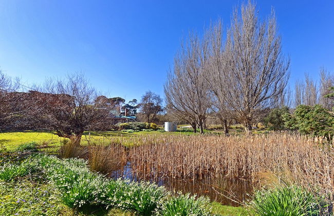 Ventnor Guest House - Photo 10