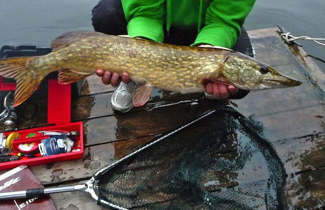 Bungalow am See mit Ruderboot in Klein Labenz - Photo 35