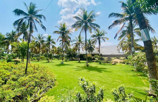 Narayani Revtree - Resort & Villa - Foto 31