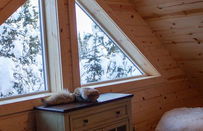 Denali Wild Stay - Foto 10