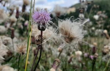 Apartament Czar-nów - Foto 77