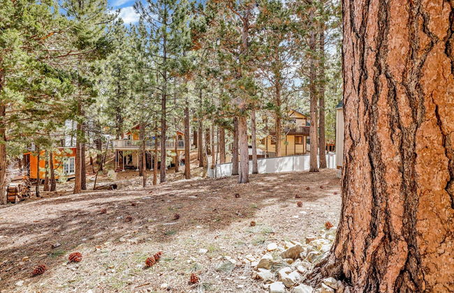 Bruin Chalet #2464 - Foto 15