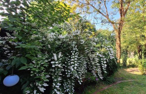 Ferienhaus Roomina - Photo 35