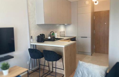 Ceglana Park 72 Studio - Photo 10