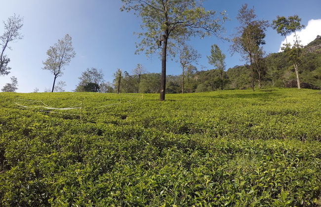 Shannon Rise Holiday Home - Foto 19