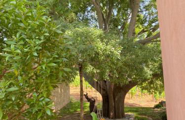 Monte Astili - Foto 34