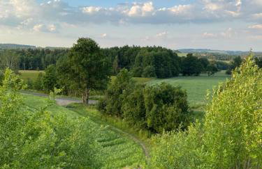 Grudza83 Bikepoint - Foto 31