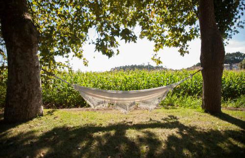 Casa de Assade - Foto 67