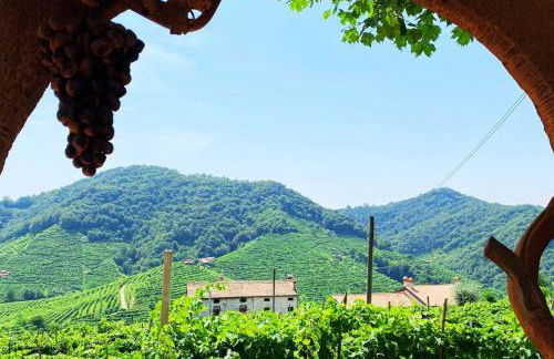 ValdoCaban: Oasis among the Vines - Foto 15