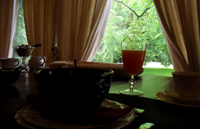 Casa de Santo António de Britiande - Foto 32