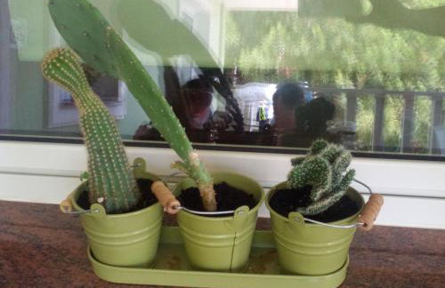 Apartment Peris - Foto 61