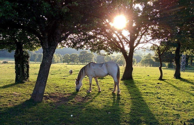 Casa Cazoleiro - Foto 3