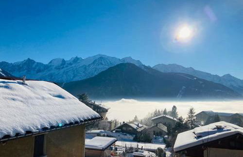 Le Chamois d'Assy, résidence alpine de charme - Photo 17