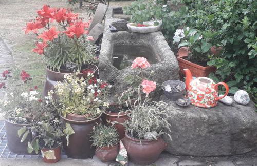 Sommerfrische - Foto 9