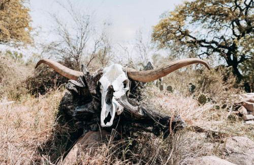 El Castellito on the Llano River - 4 Bed House - Foto 48