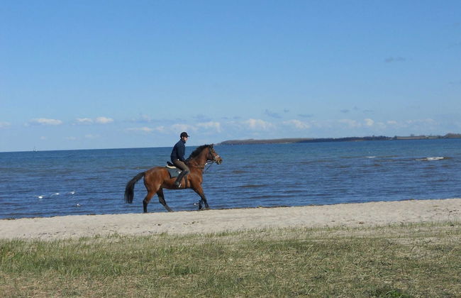 Escape Near Baltic Coast - Foto 30