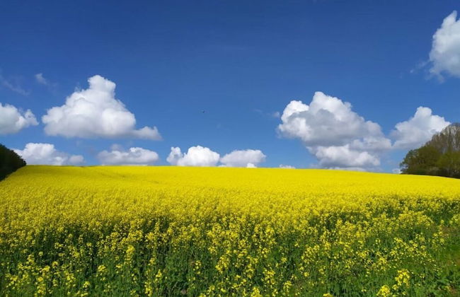 Farsighted Modern Retreat - Photo 12