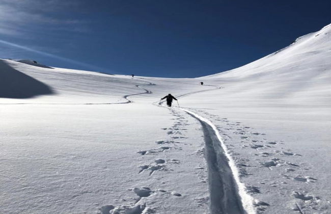 Large Chalet With Barrel Sauna and Whirlpool - Foto 39