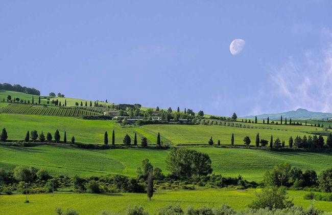 Castello di Spedaletto - Foto 45