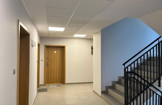 Family Homes - Apartament Nowe Hallerowo - Photo 19