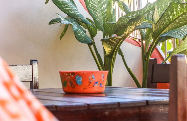 Apartamentos Pipa Centro - Foto 35