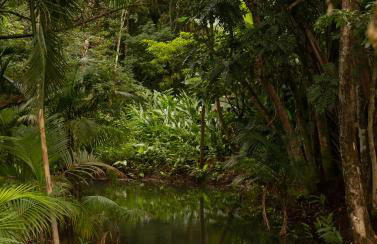Chalé Canadense com Hidromassagem Pousada Índios Koroados - Foto 46
