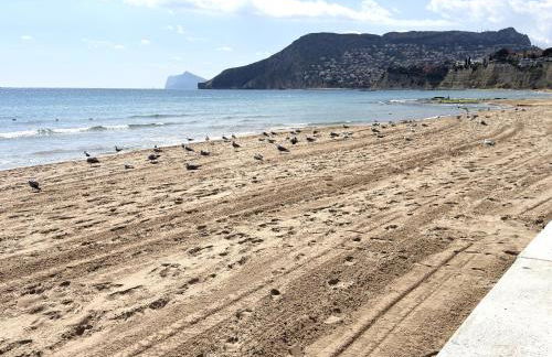 TerraSoul Apartmens Alexia in Calpe - Photo 22