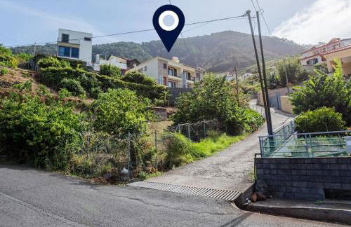 Machico Oasis - Photo 6