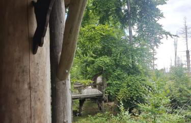 Waldoase im Nationalpark Eifel für 7 Gäste und max 2 Hunde in 1A Lage - Foto 7