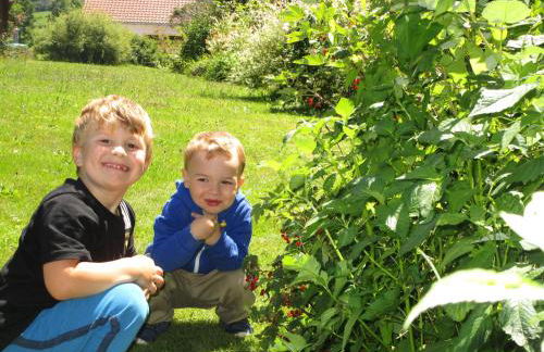 Ferienwohnungen Schmid - Foto 24