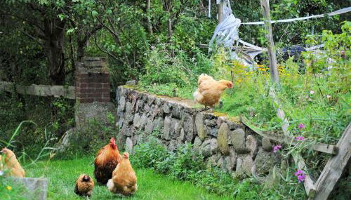 Mirabellenhof- Remise - Foto 2