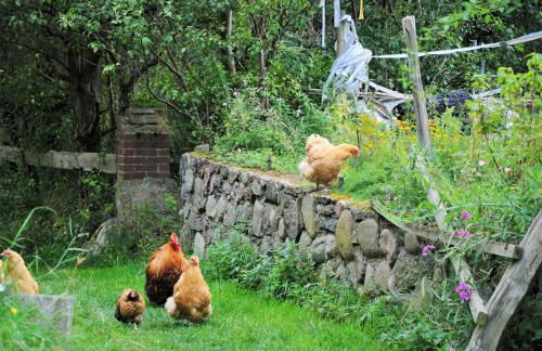 Mirabellenhof- Remise - Foto 2