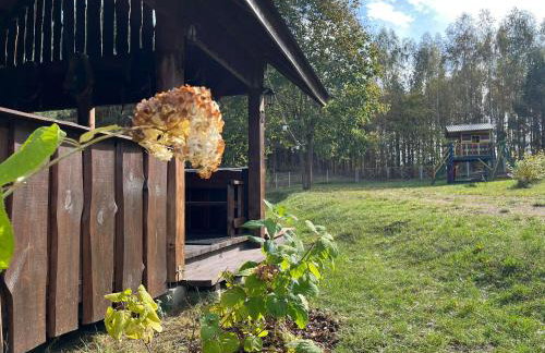 Drewniany Domek w Zakątku Andrzeje Śniczany 18 - Photo 54