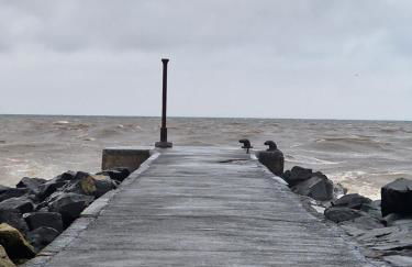 Hunters Glebe Country Apartment - Foto 32