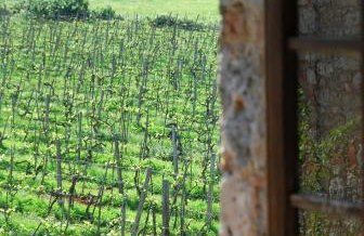Agriturismo Novelleto - Foto 61