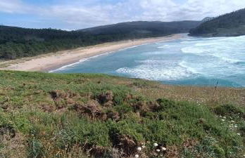 El Jardín y Mar - Foto 37