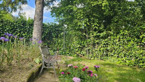 La Veranda - Foto 2, Garden