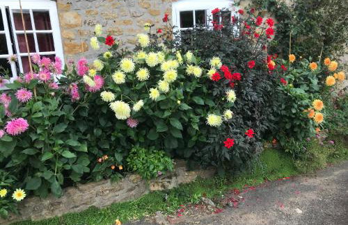 The Cottage Abbotsbury - Foto 39