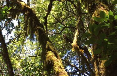 Casa La Sabina - Luxury Villa On The Balcony of The Atlantic - Minimum Period 7 Days - Foto 44