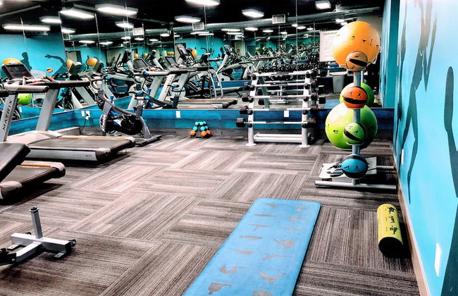 Westwood LA Executive Rentals - Foto 25