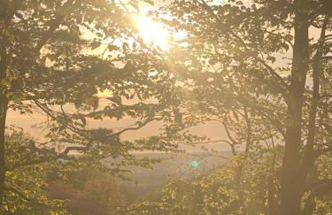 Ribble Cottage in The Ribble Valley - Foto 26